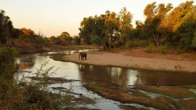 Mozambico: safari nell’Oceano